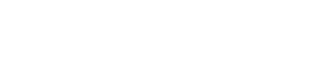 LS Control logo